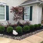 New Plant Install with River Rock Border.